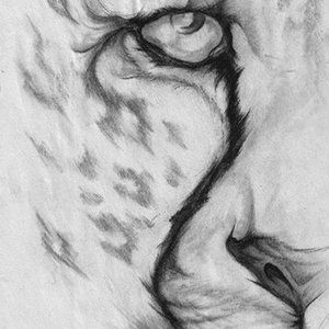 PROWL around my closet!!